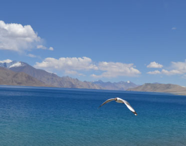 Leh, Sham Region, Pangong Lake, Nubra Valley, Tso Moriri Lake, Tso Moriri Lake - Tso Kar - Taglang La